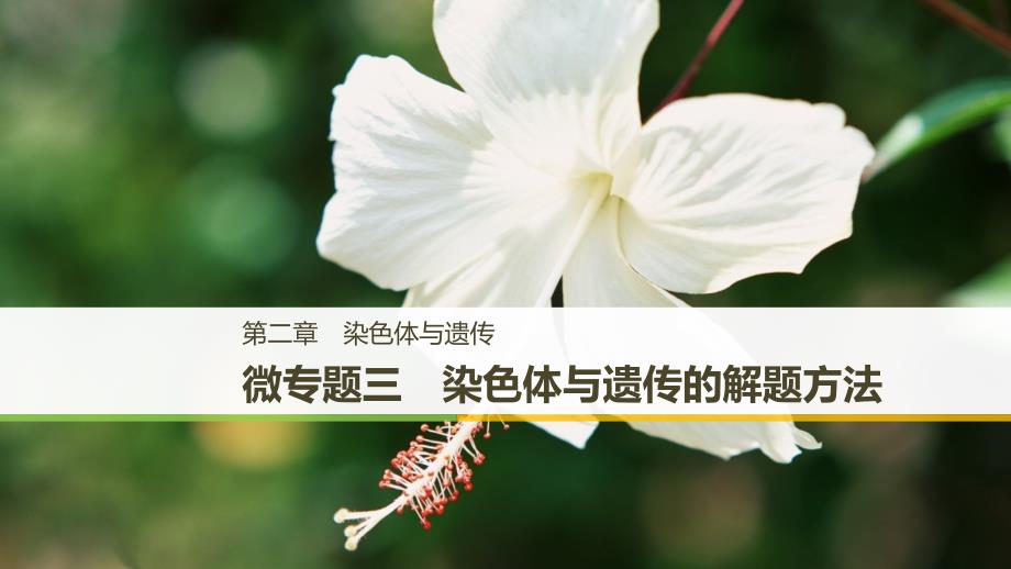 2018-2019学年高中生物浙科版必修二课件：第二章 染色体与遗传 微专题三 _第1页