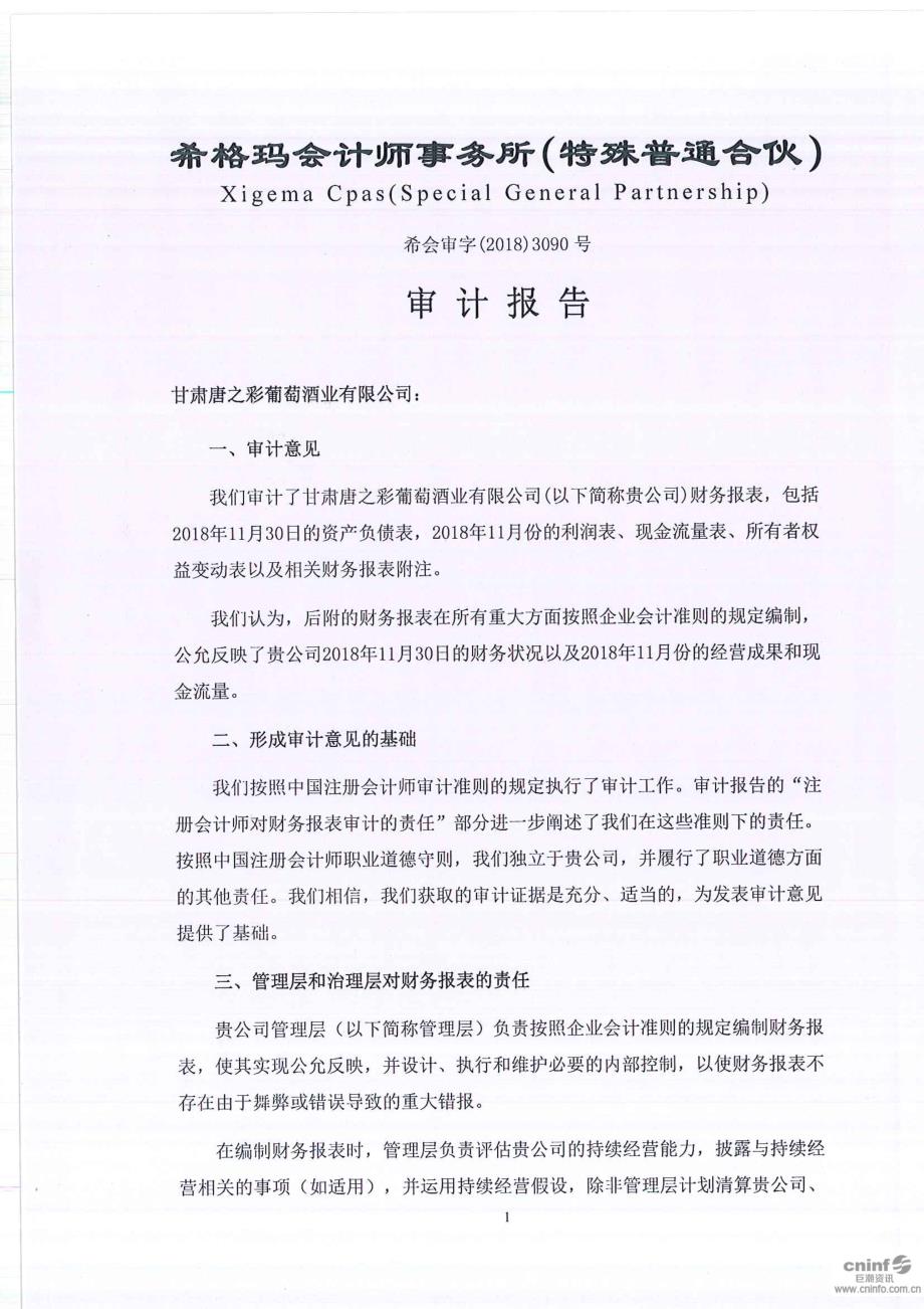甘肃唐之彩葡萄酒业有限公司审计报告_第3页