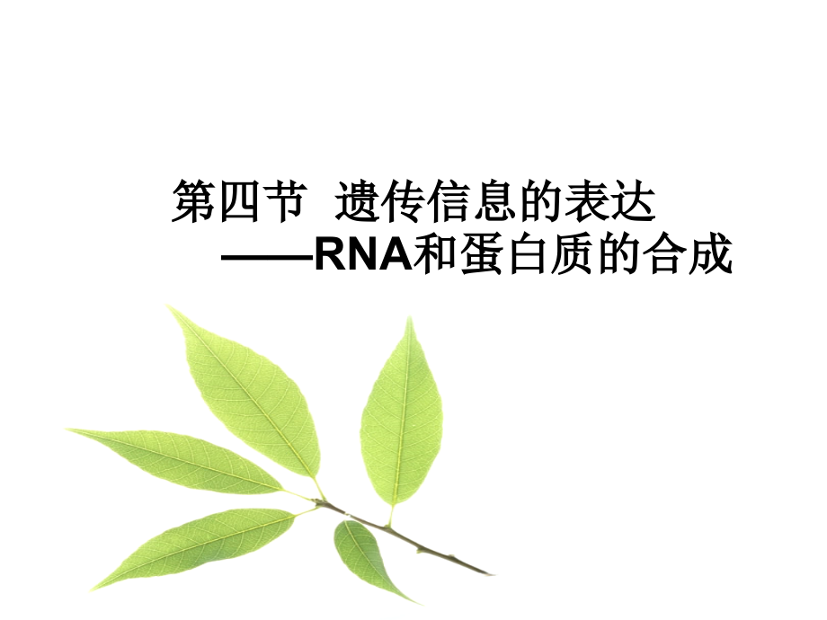遗传信息的表达 ——rna和蛋白质的合成_第1页