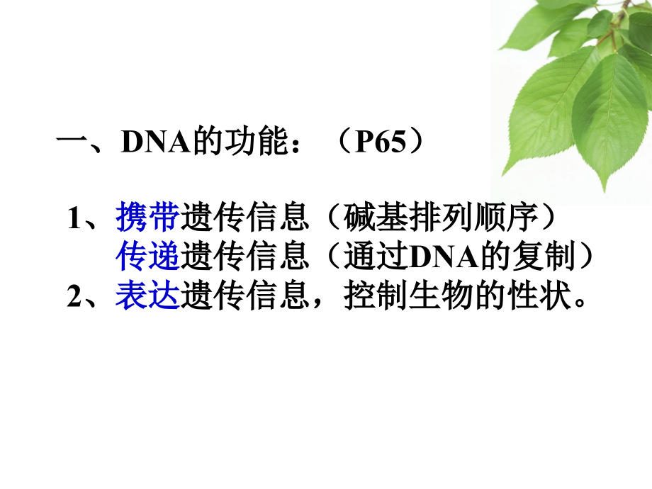 遗传信息的表达 ——rna和蛋白质的合成_第3页