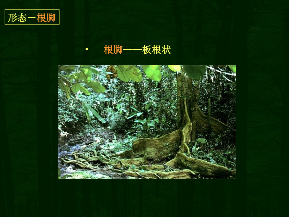 中国古典园林+&amp;#8226;+赏香景点_第2页