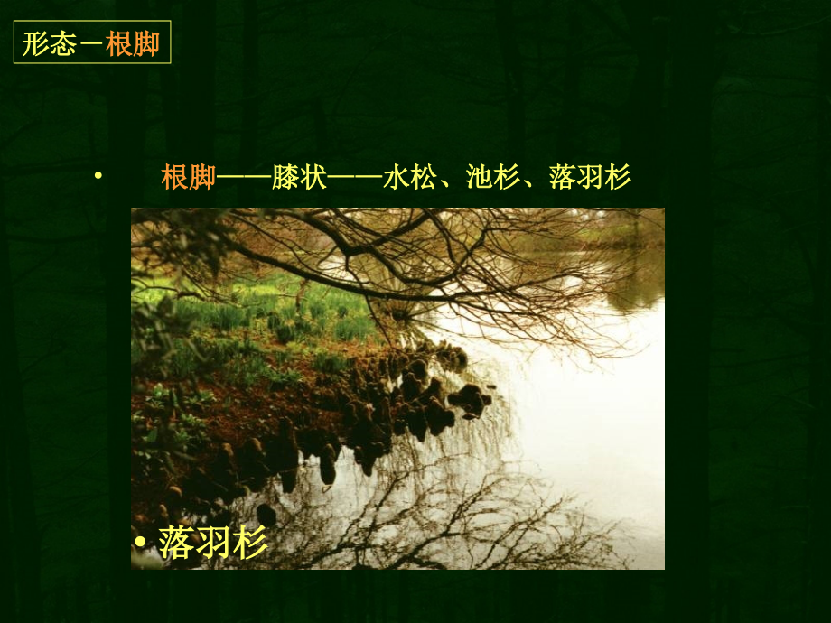中国古典园林+&amp;#8226;+赏香景点_第3页