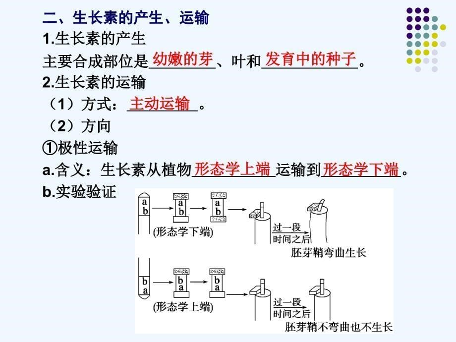 专题五+第二讲植物的激素调节_第5页