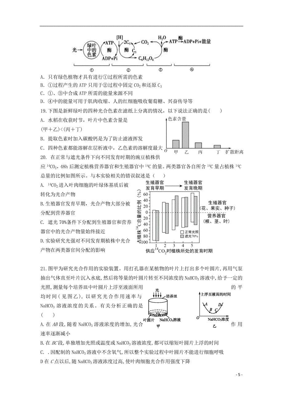 福建省永泰县第一中学2019届高三生物上学期期中试题_第5页