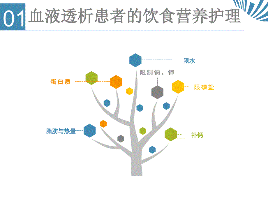 血液透析患者的饮食营养护理_第2页