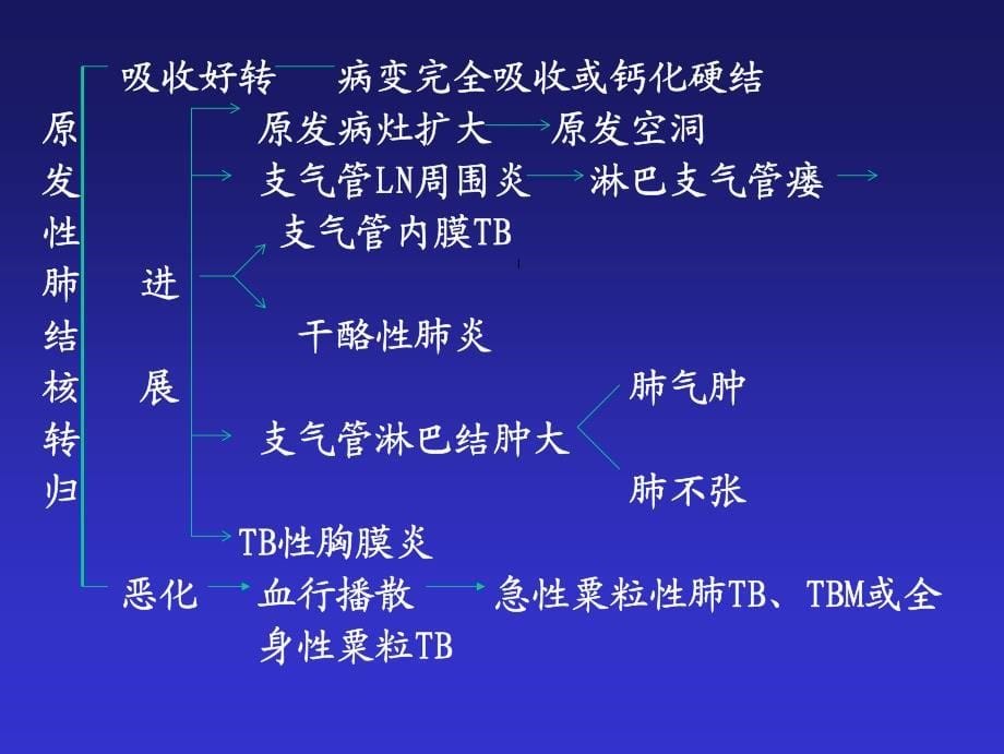 原发性肺结核(primarypulmonarytubuculosis)_第5页