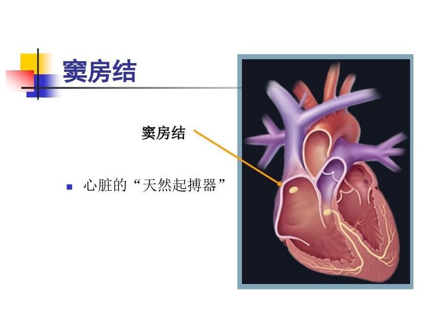 二、心脏起搏治疗与护理储海燕_第5页