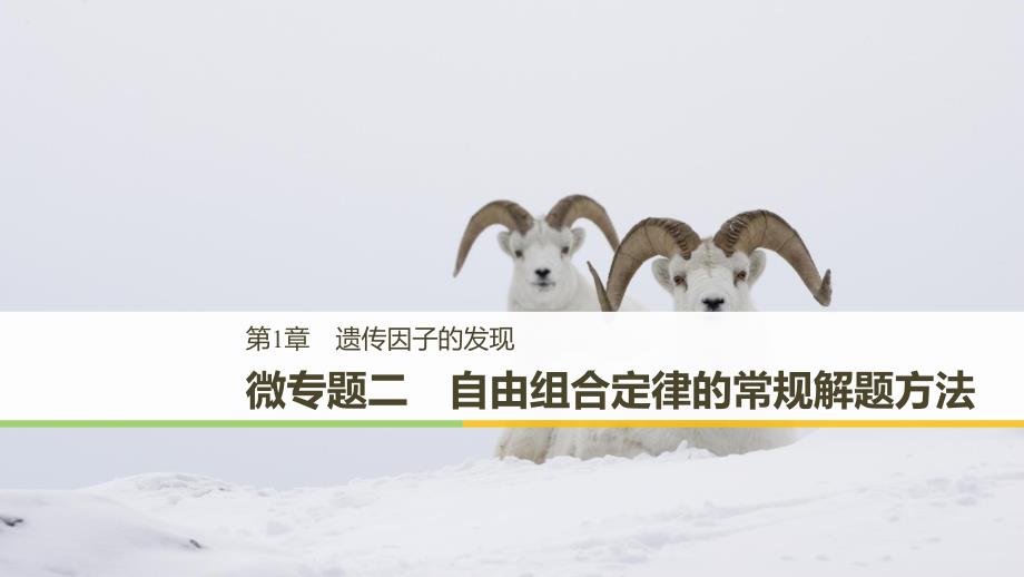 2018-2019学年高中生物人教版（粤渝冀辽苏皖闽鄂湘津京鲁琼专用）必修二课件：第1章 遗传因子的发现 微专题二　自由组合定律的常规解题方法 _第1页