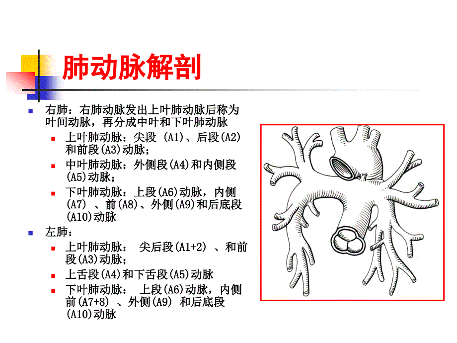 肺栓塞的ct_第2页