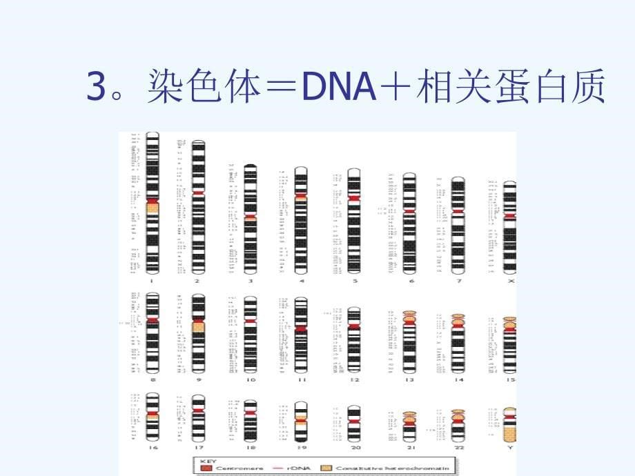 基因组测序流程介绍(卜东波)_第5页