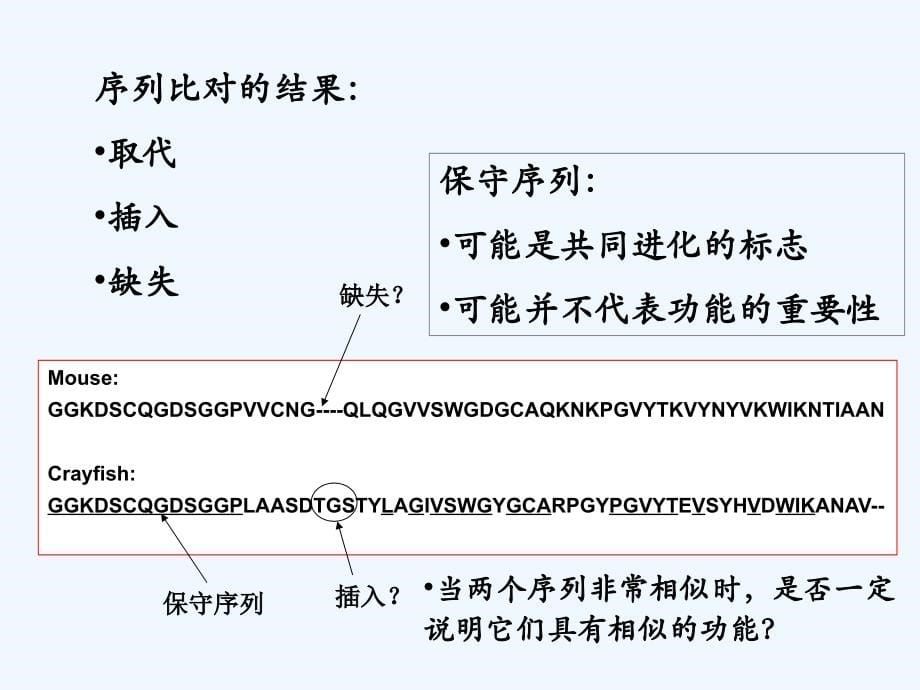 生物化学与分子生物学八年制课件26_第5页