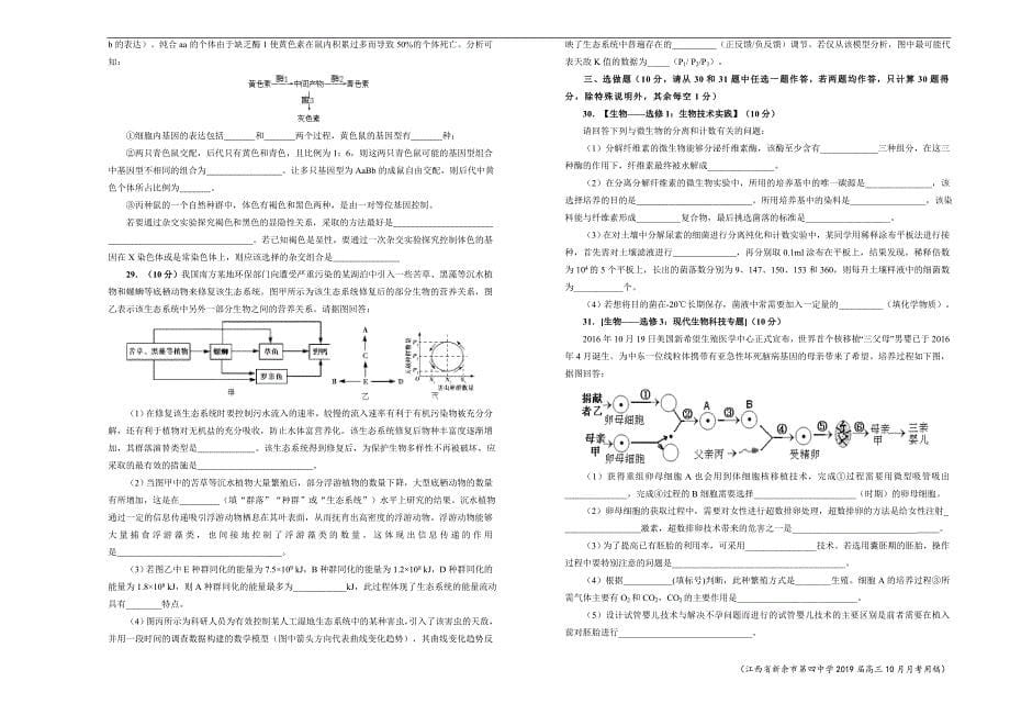 2019届高三某平台10月内部特供卷 生物（四）学生版_第5页