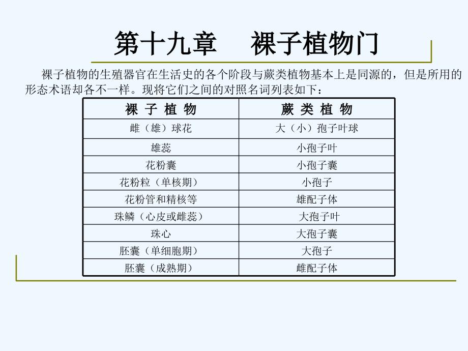 药用植物学-淅江大学19裸子植物_第4页