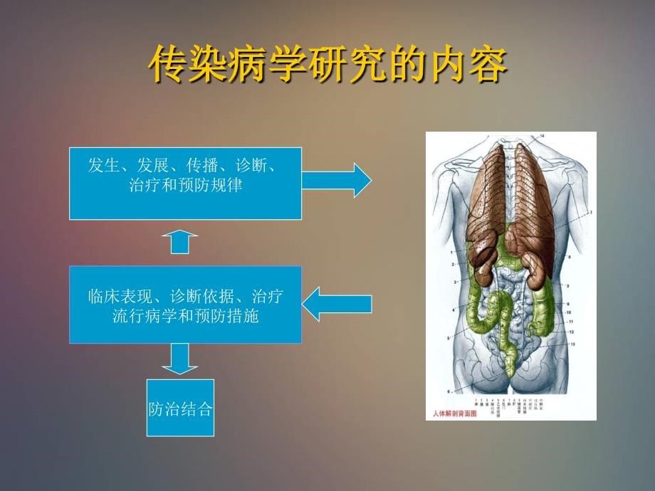 传染病学总论临床医学医药卫生专业资料_第5页