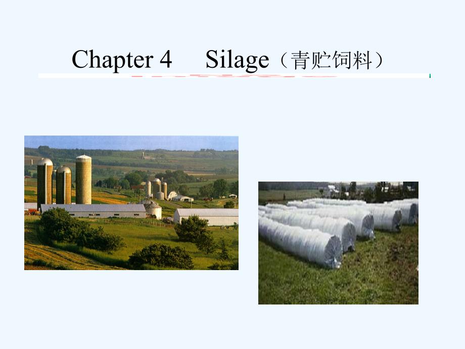 饲料分类英文课件chapter_4_silage_第1页