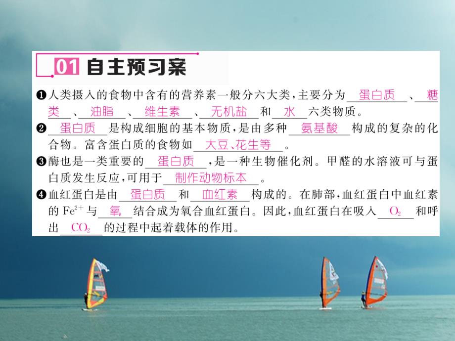 九年级化学下册 第12单元 化学与生活 课题1 人类重要的营养物质（第1课时）蛋白质和糖类作业课件 （新版）新人教版_第4页