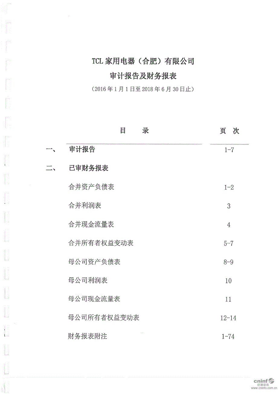 TCL家用电器（合肥）有限公司审计报告_第2页