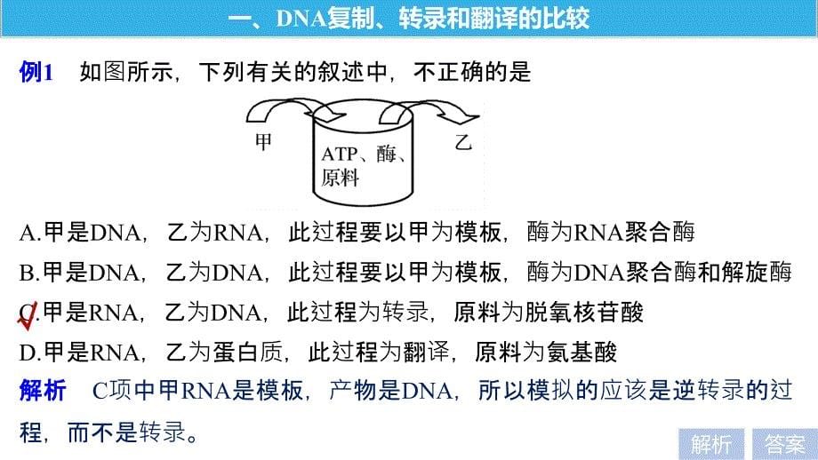 2018-2019学年高中生物人教版必修二课件：第4章 基因的表达 微专题六　基因表达的相关题型突破 _第5页