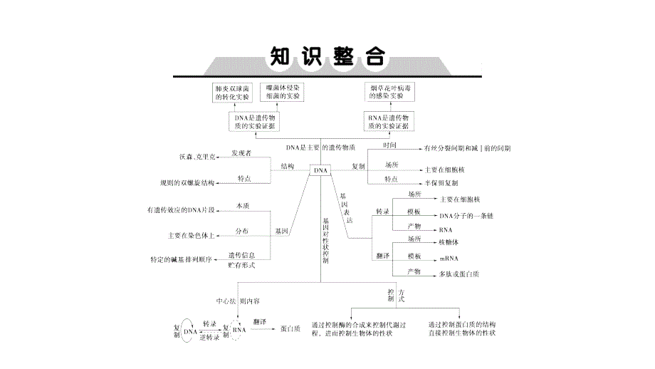 2019届高三上学期生物大一轮复习课件：单元培优提能系列6（共12张ppt）_第2页