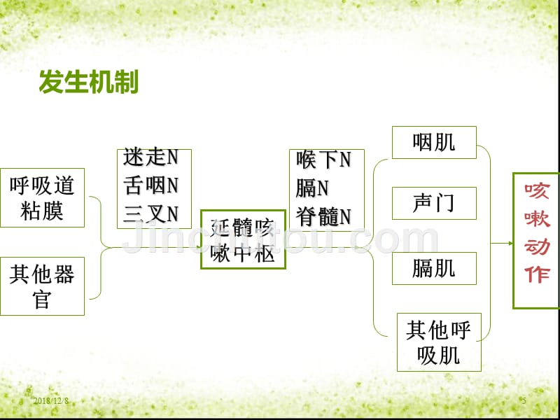 呼吸系统常见症状与体格检查_第5页