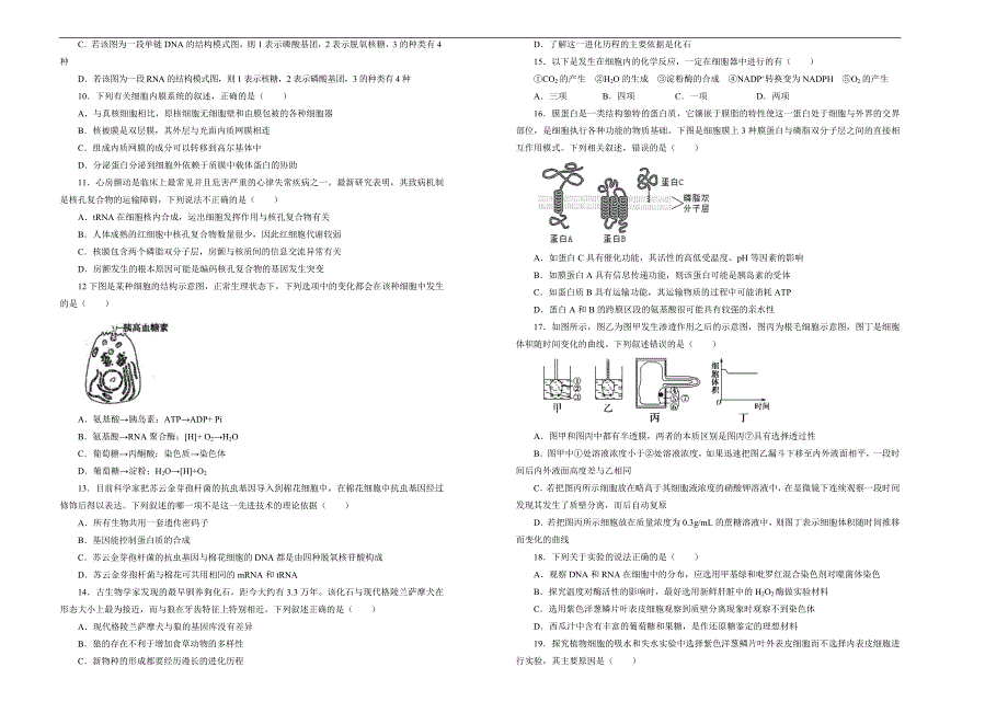 2019届高三某平台8月内部特供卷 生物（二）学生版_第2页