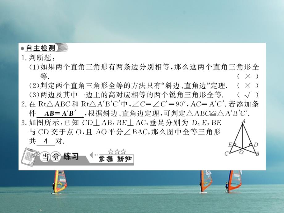 八年级数学下册 第1章 直角三角形 1_3 直角三角形全等的判定习题课件 （新版）湘教版_第3页