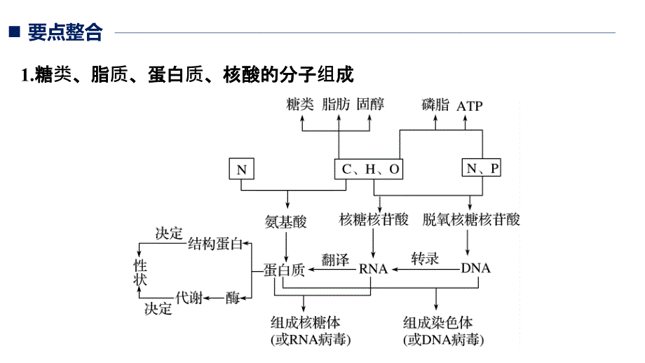 2019版高考生物二轮增分策略通用版实用课件：专题一 细胞的分子组成、基本结构和生命历程 考点1 _第2页