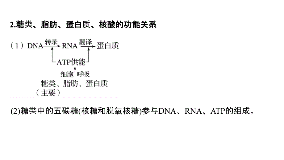 2019版高考生物二轮增分策略通用版实用课件：专题一 细胞的分子组成、基本结构和生命历程 考点1 _第3页