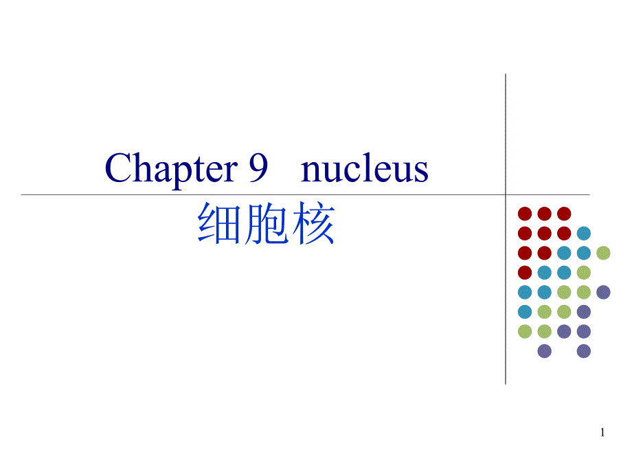 [寄生虫学]nucleus细胞核_第1页