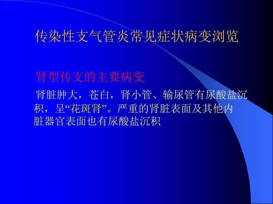 传染性支气管炎常见症状与病变_第5页