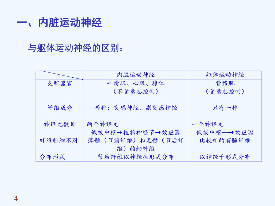 【内脏神经系统】_第4页