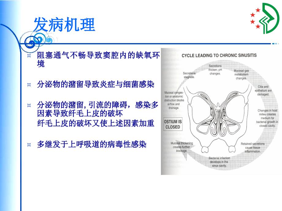 儿童慢性鼻窦炎治疗_第4页