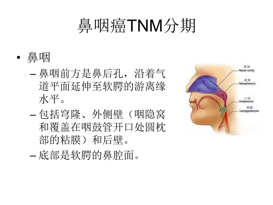 鼻咽癌tnm分期_第2页