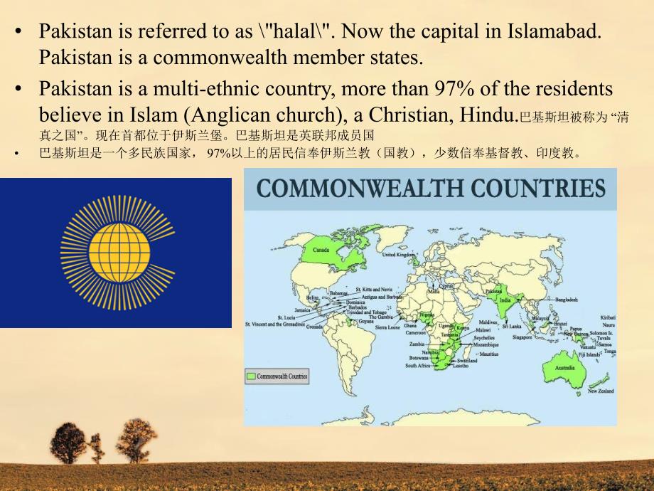 英语国家文化之巴基斯坦_第4页