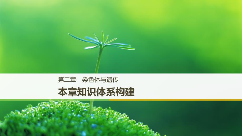 2018-2019学年高中生物浙科版必修二课件：第二章 染色体与遗传 本章知识体系构建 _第1页