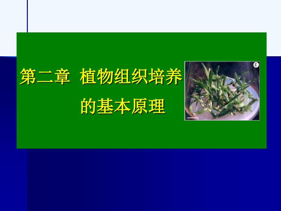 植物组织培养教程+李浚明3_第1页