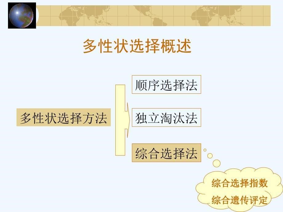 动物育种学－第六章－个体遗传评定之选择指数法3_第5页