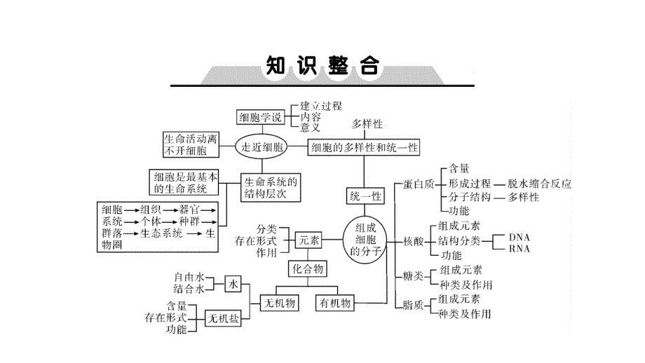 2019届高三上学期生物大一轮复习课件：单元培优提能系列1（共9张ppt）_第2页