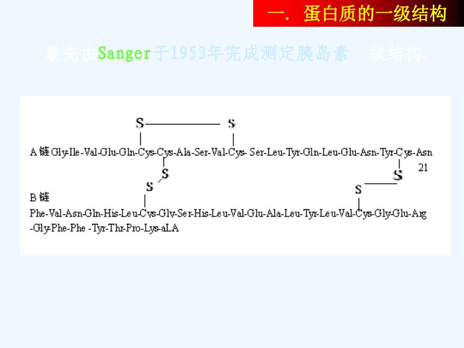 蛋白质的分子结构_第4页