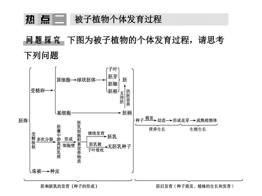 学案生物生殖与发育核心术语——(记准、写准、理解透_第5页