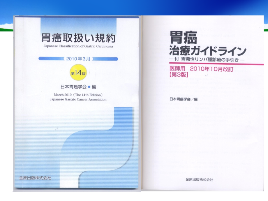 新版日本胃癌规约与指南解读_第2页