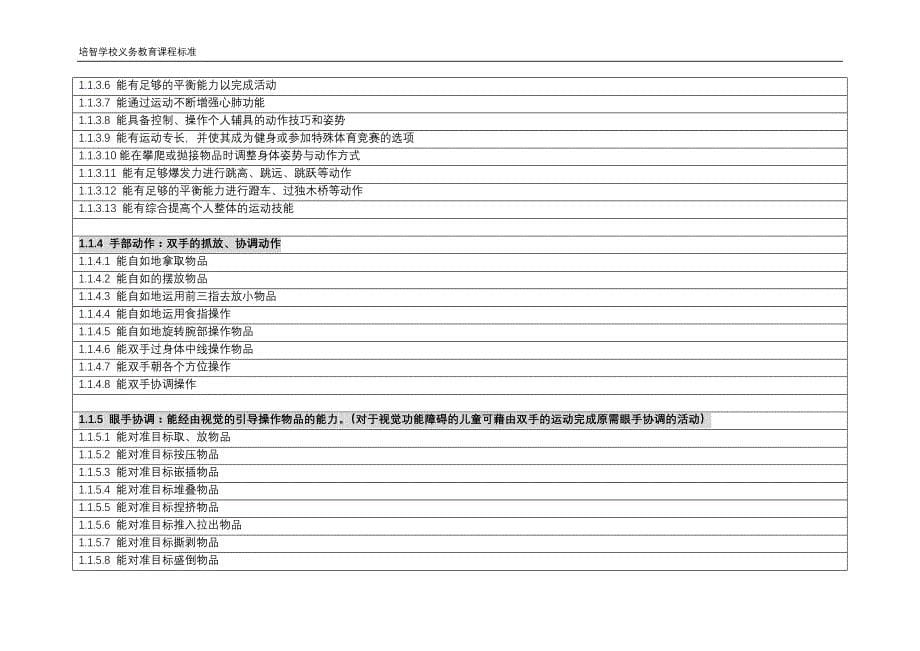 培智学校课程标准_第5页