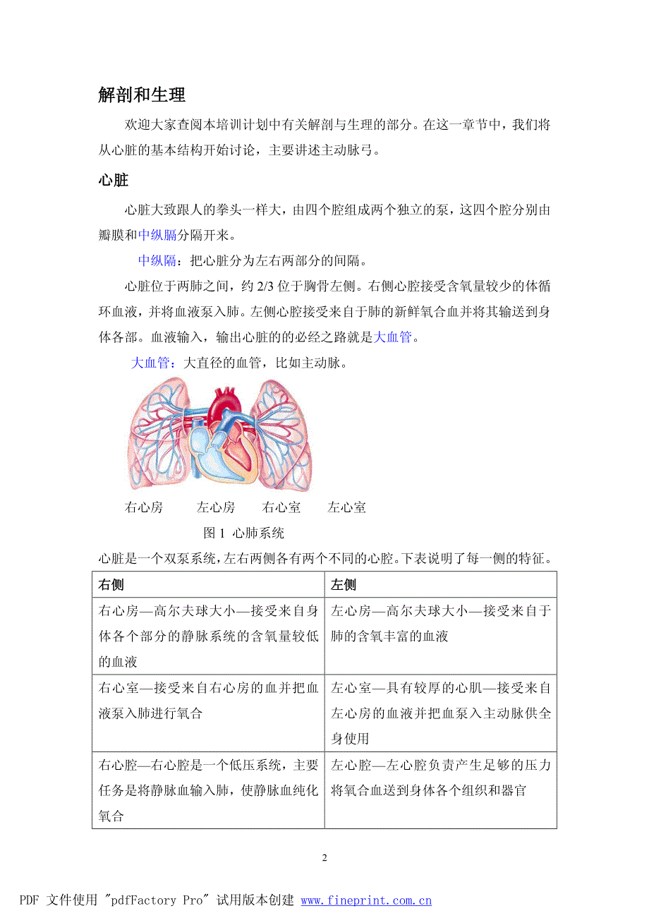 心血管系统生理与解剖中文_第2页