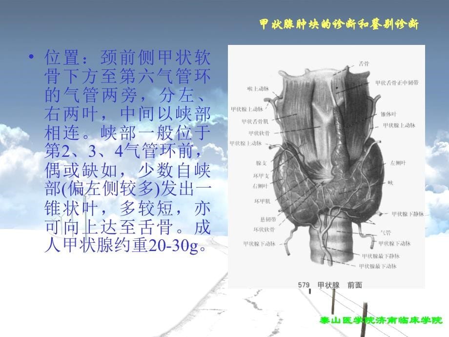 甲状腺肿块诊断与鉴别诊断_第5页