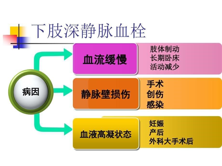 深静脉血栓危险因素与预防_第5页