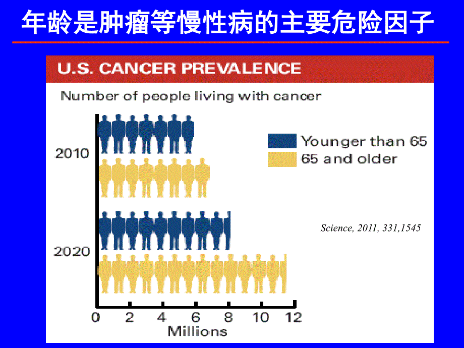 肿瘤研究与精准医学_第4页