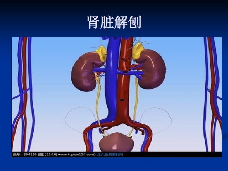 血液净化培训_第2页