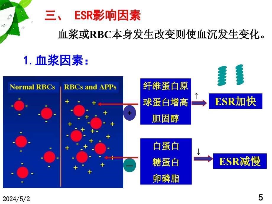 血沉与白细胞分类计数_第5页