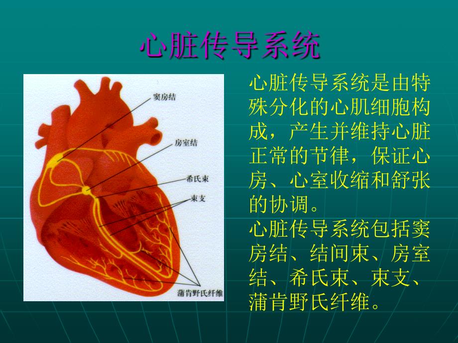 常见心电图与其临床意义_第4页