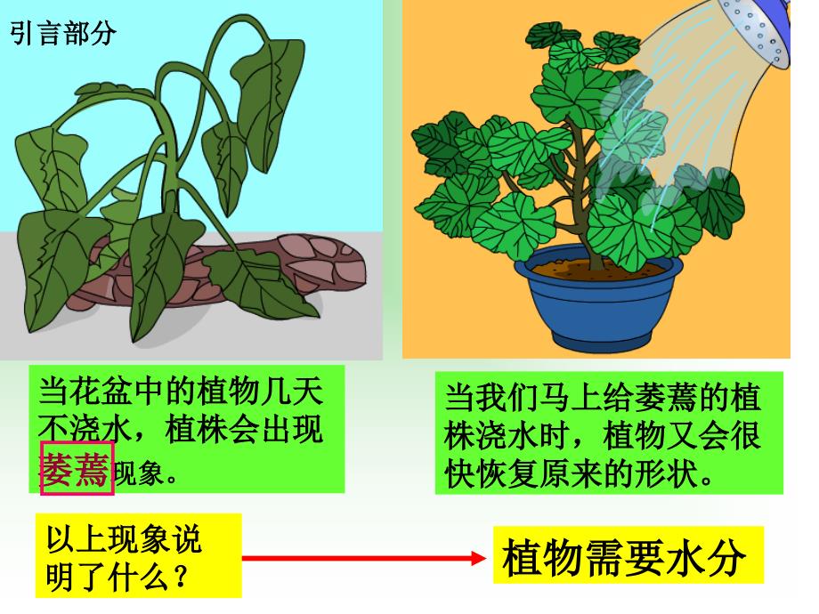 植物对水分吸收、运输、利用与散失_第2页
